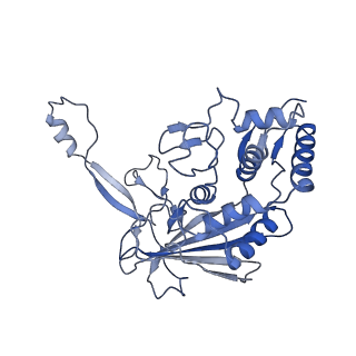 8624_5uz9_D_v2-2
Cryo EM structure of anti-CRISPRs, AcrF1 and AcrF2, bound to type I-F crRNA-guided CRISPR surveillance complex