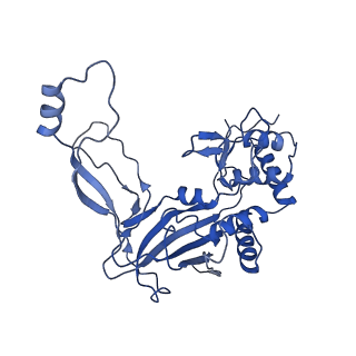 8624_5uz9_E_v1-2
Cryo EM structure of anti-CRISPRs, AcrF1 and AcrF2, bound to type I-F crRNA-guided CRISPR surveillance complex