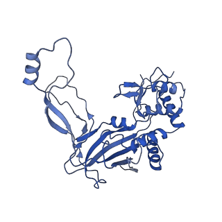 8624_5uz9_E_v2-2
Cryo EM structure of anti-CRISPRs, AcrF1 and AcrF2, bound to type I-F crRNA-guided CRISPR surveillance complex