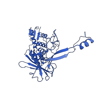 8624_5uz9_G_v1-2
Cryo EM structure of anti-CRISPRs, AcrF1 and AcrF2, bound to type I-F crRNA-guided CRISPR surveillance complex