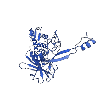 8624_5uz9_G_v2-2
Cryo EM structure of anti-CRISPRs, AcrF1 and AcrF2, bound to type I-F crRNA-guided CRISPR surveillance complex