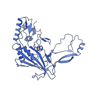 8624_5uz9_H_v1-2
Cryo EM structure of anti-CRISPRs, AcrF1 and AcrF2, bound to type I-F crRNA-guided CRISPR surveillance complex