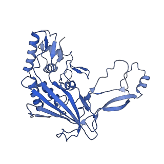 8624_5uz9_H_v2-2
Cryo EM structure of anti-CRISPRs, AcrF1 and AcrF2, bound to type I-F crRNA-guided CRISPR surveillance complex