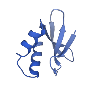 8624_5uz9_I_v2-2
Cryo EM structure of anti-CRISPRs, AcrF1 and AcrF2, bound to type I-F crRNA-guided CRISPR surveillance complex