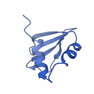 8624_5uz9_J_v2-2
Cryo EM structure of anti-CRISPRs, AcrF1 and AcrF2, bound to type I-F crRNA-guided CRISPR surveillance complex