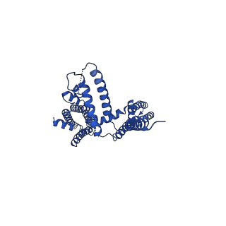 20966_6v00_A_v1-4
structure of human KCNQ1-KCNE3-CaM complex