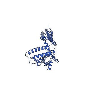20966_6v00_D_v1-3
structure of human KCNQ1-KCNE3-CaM complex