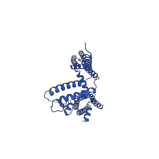 20966_6v00_D_v1-4
structure of human KCNQ1-KCNE3-CaM complex