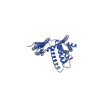 20966_6v00_G_v1-3
structure of human KCNQ1-KCNE3-CaM complex