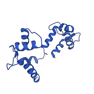 20966_6v00_H_v1-4
structure of human KCNQ1-KCNE3-CaM complex