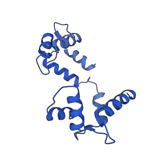 20966_6v00_K_v1-4
structure of human KCNQ1-KCNE3-CaM complex