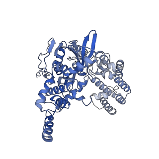 21003_6v0v_A_v1-2
Cryo-EM structure of mouse WT RAG1/2 NFC complex (DNA0)