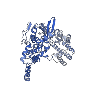 21003_6v0v_A_v1-3
Cryo-EM structure of mouse WT RAG1/2 NFC complex (DNA0)