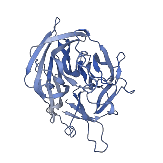 21003_6v0v_B_v1-2
Cryo-EM structure of mouse WT RAG1/2 NFC complex (DNA0)