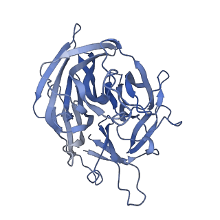 21003_6v0v_B_v1-3
Cryo-EM structure of mouse WT RAG1/2 NFC complex (DNA0)