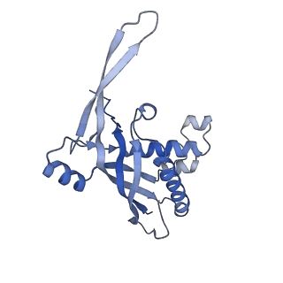 26924_7v00_A_v1-1
Staphylococcus epidermidis RP62a CRISPR tall effector complex with bound ATP