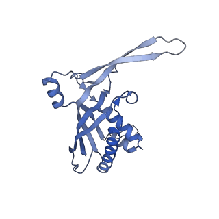 26924_7v00_B_v1-1
Staphylococcus epidermidis RP62a CRISPR tall effector complex with bound ATP