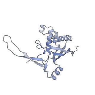 26924_7v00_D_v1-1
Staphylococcus epidermidis RP62a CRISPR tall effector complex with bound ATP
