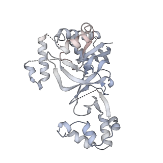 26924_7v00_E_v1-1
Staphylococcus epidermidis RP62a CRISPR tall effector complex with bound ATP