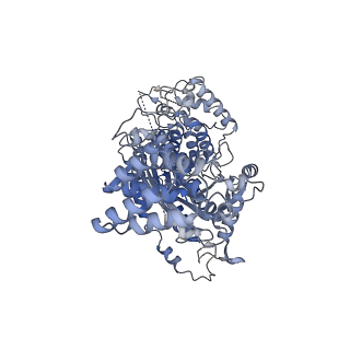 26924_7v00_F_v1-1
Staphylococcus epidermidis RP62a CRISPR tall effector complex with bound ATP