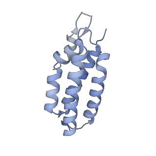 26924_7v00_K_v1-1
Staphylococcus epidermidis RP62a CRISPR tall effector complex with bound ATP