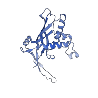 26925_7v01_A_v1-1
Staphylococcus epidermidis RP62a CRISPR short effector complex with self RNA target and ATP