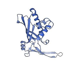 26925_7v01_B_v1-1
Staphylococcus epidermidis RP62a CRISPR short effector complex with self RNA target and ATP