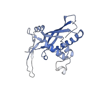 26925_7v01_C_v1-1
Staphylococcus epidermidis RP62a CRISPR short effector complex with self RNA target and ATP