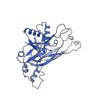26925_7v01_H_v1-1
Staphylococcus epidermidis RP62a CRISPR short effector complex with self RNA target and ATP