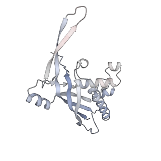 26927_7v02_A_v1-1
Staphylococcus epidermidis RP62A CRISPR short effector complex