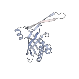 26927_7v02_B_v1-1
Staphylococcus epidermidis RP62A CRISPR short effector complex