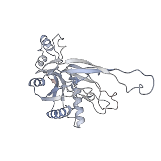 26927_7v02_H_v1-1
Staphylococcus epidermidis RP62A CRISPR short effector complex