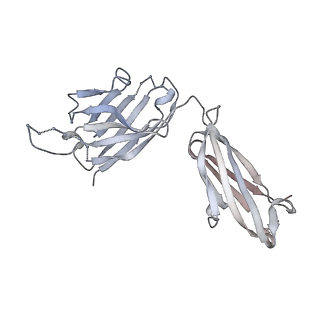 26936_7v05_A_v1-1
Complex of Plasmodium falciparum circumsporozoite protein with 850 Fab