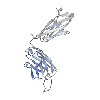 26936_7v05_B_v1-1
Complex of Plasmodium falciparum circumsporozoite protein with 850 Fab