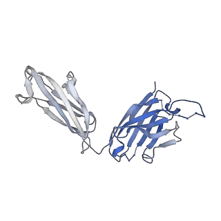 26936_7v05_C_v1-1
Complex of Plasmodium falciparum circumsporozoite protein with 850 Fab