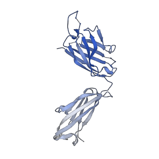 26936_7v05_D_v1-1
Complex of Plasmodium falciparum circumsporozoite protein with 850 Fab