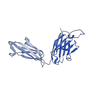26936_7v05_E_v1-1
Complex of Plasmodium falciparum circumsporozoite protein with 850 Fab