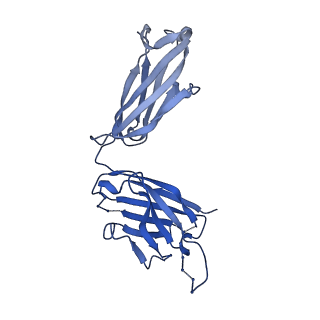 26936_7v05_G_v1-1
Complex of Plasmodium falciparum circumsporozoite protein with 850 Fab