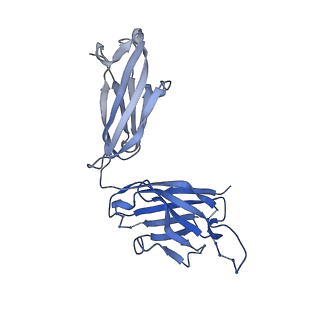 26936_7v05_H_v1-1
Complex of Plasmodium falciparum circumsporozoite protein with 850 Fab
