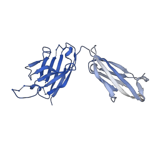 26936_7v05_I_v1-1
Complex of Plasmodium falciparum circumsporozoite protein with 850 Fab