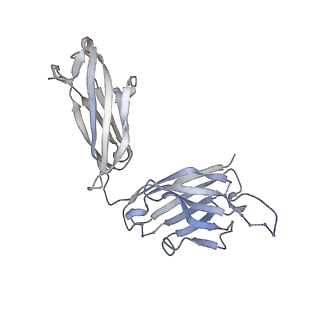 26936_7v05_J_v1-1
Complex of Plasmodium falciparum circumsporozoite protein with 850 Fab