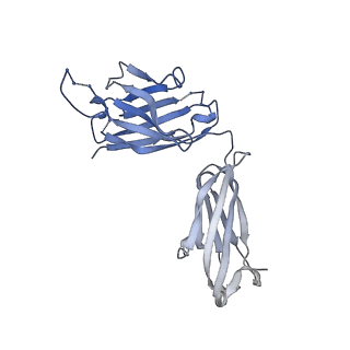 26936_7v05_K_v1-1
Complex of Plasmodium falciparum circumsporozoite protein with 850 Fab
