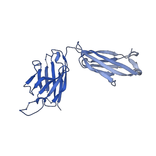 26936_7v05_L_v1-1
Complex of Plasmodium falciparum circumsporozoite protein with 850 Fab