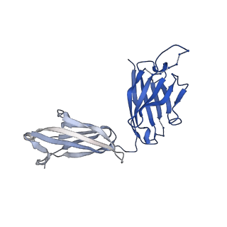 26936_7v05_M_v1-1
Complex of Plasmodium falciparum circumsporozoite protein with 850 Fab