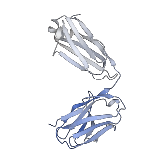 26936_7v05_b_v1-1
Complex of Plasmodium falciparum circumsporozoite protein with 850 Fab