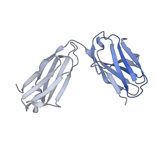 26936_7v05_c_v1-1
Complex of Plasmodium falciparum circumsporozoite protein with 850 Fab