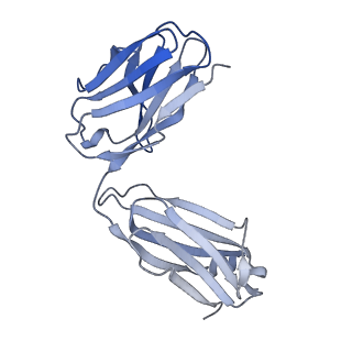 26936_7v05_d_v1-1
Complex of Plasmodium falciparum circumsporozoite protein with 850 Fab