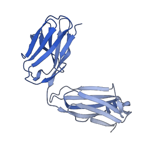 26936_7v05_f_v1-1
Complex of Plasmodium falciparum circumsporozoite protein with 850 Fab