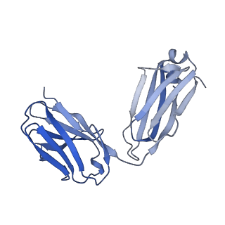 26936_7v05_i_v1-1
Complex of Plasmodium falciparum circumsporozoite protein with 850 Fab