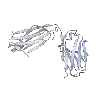 26936_7v05_j_v1-1
Complex of Plasmodium falciparum circumsporozoite protein with 850 Fab